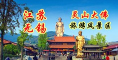 小穴留水高清视频江苏无锡灵山大佛旅游风景区